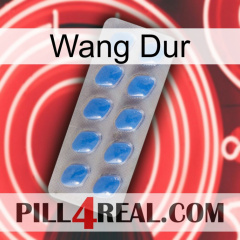Hard Wang 22